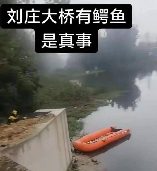 山东枣庄一河道有鳄鱼出没？官方回应：多部门密集搜索仍未发现