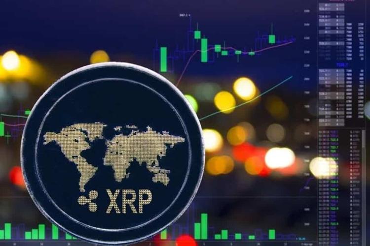 谷歌投资xrp币(storj币谷歌投资)
