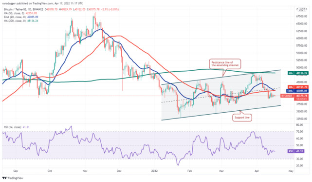xrp是什么货币历史最高价(xrp最高价格历史价钱是多少)