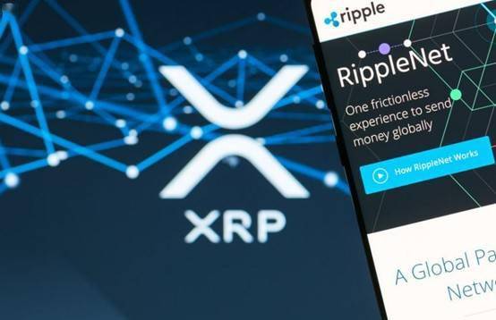 xrp8310(鑫瑞普826玉米品种)