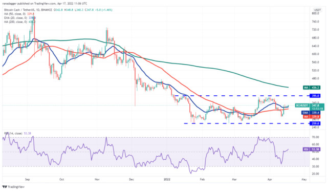 关于bch和xrp的信息