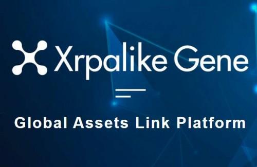 瑞波xag和XRP金额如何转换(xrp瑞波币2021年可以到5美金)