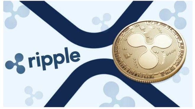 为什么xrp会涨价(xrp为什么涨那么多)