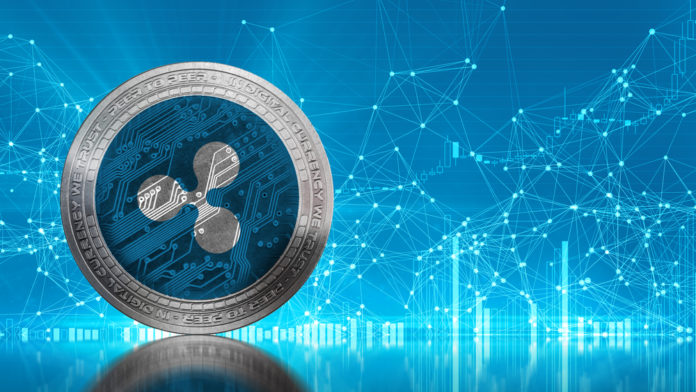 关于xrp0000的信息
