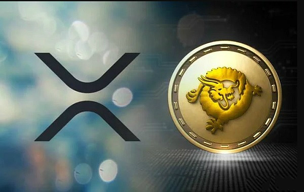 xrp怎么转帐(xrp转账多长时间到账)